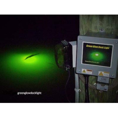 Green Glow Dock Light 