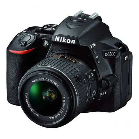 D5500 24.2 MP 