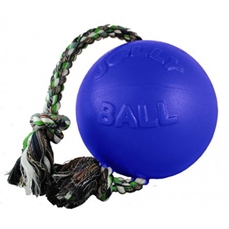 Jolly Pets Romp-n-Roll Ball