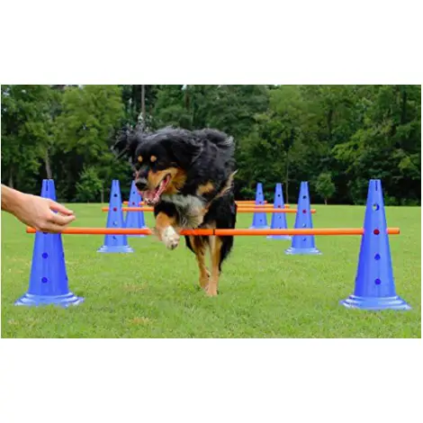 Lord Anson Hurdle Cone Set