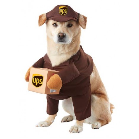 California Costumes UPS