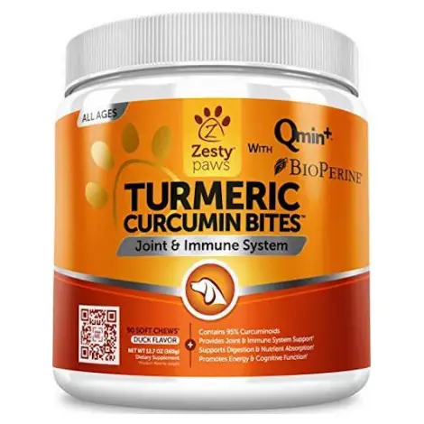 Turmeric Curcumin 