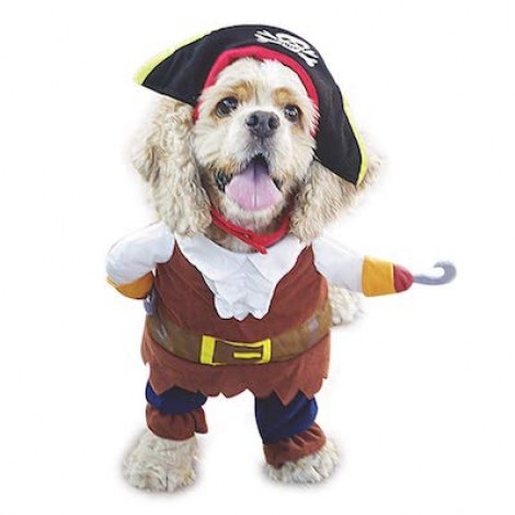 Nacoco Pirate