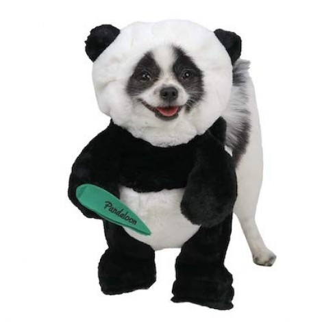 Pandaloon Panda Set