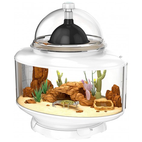 Bio Bubble Reptile Terrarium