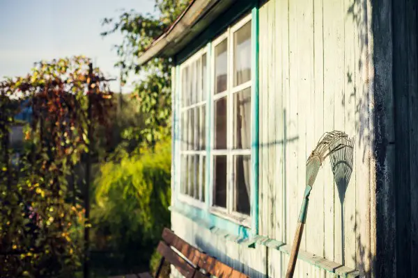 An in-depth review of the best garden rakes available in 2019. 