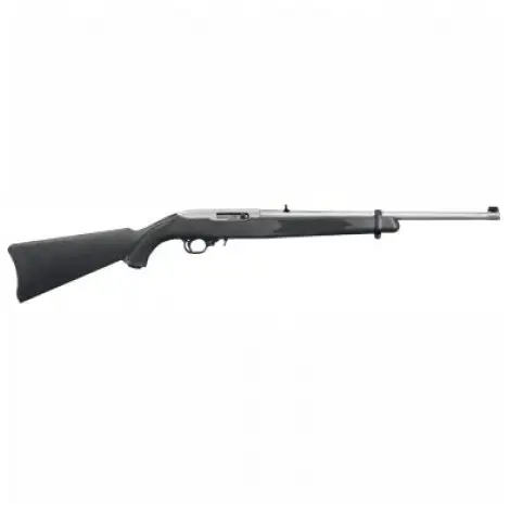 Ruger 10/22