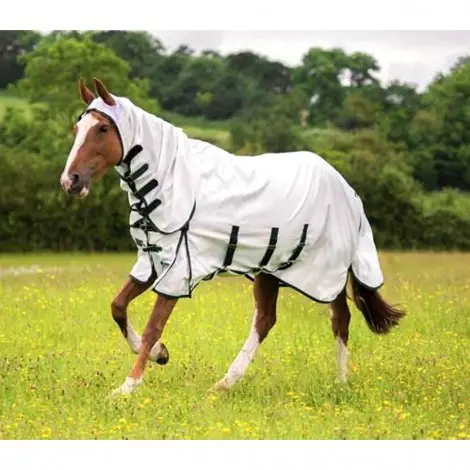 Shires