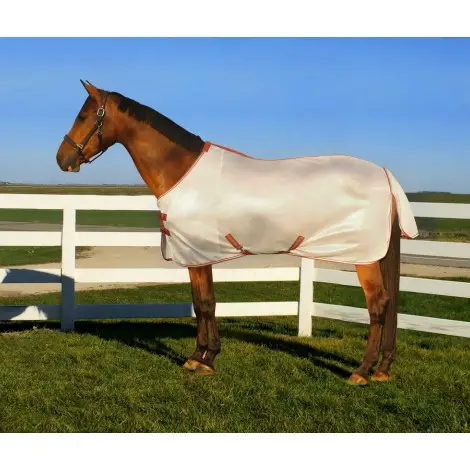TuffRider Sport Mesh