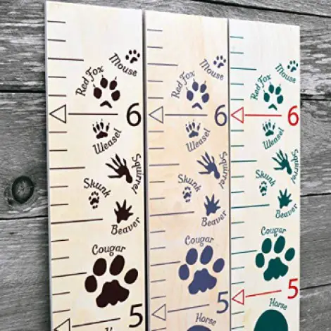 Growth Chart Art Animal Tracks 