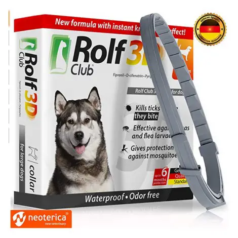 Rolf Club