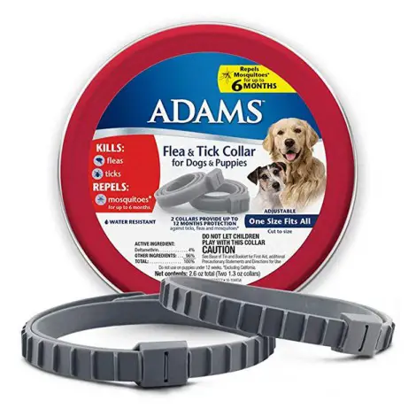 Adams
