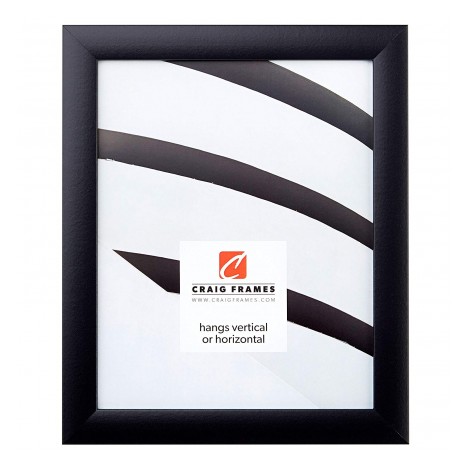 Craig Frames 24x36