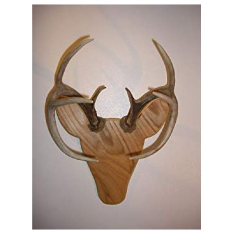 Rackheads Buck Antler