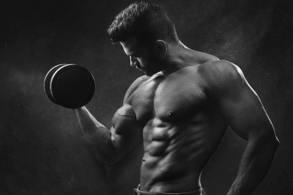 An in-depth review of the best glutamine supplements available in 2019. 