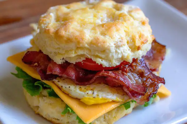 An in-depth review of the best breakfast sandwich makers available in 2019.