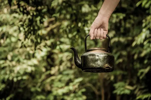 An in-depth review of the best tea kettles available in 2019. 