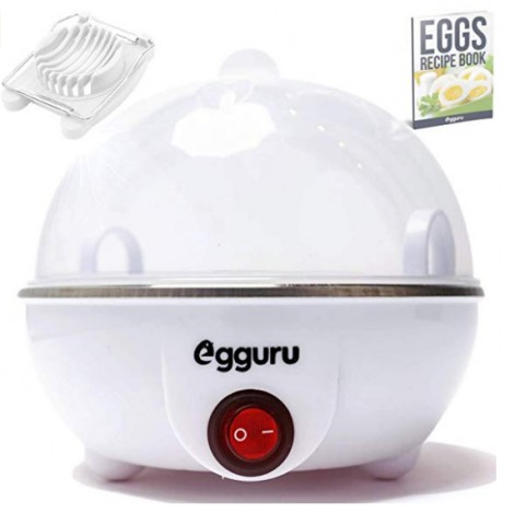 Egguru Electric 