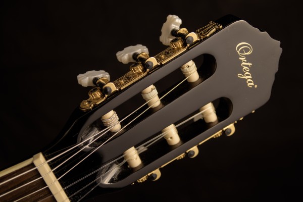 An in-depth review of the best guitar tuners available in 2019. 