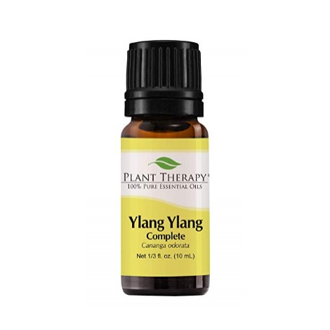 Plant Therapy Ylang Ylang 