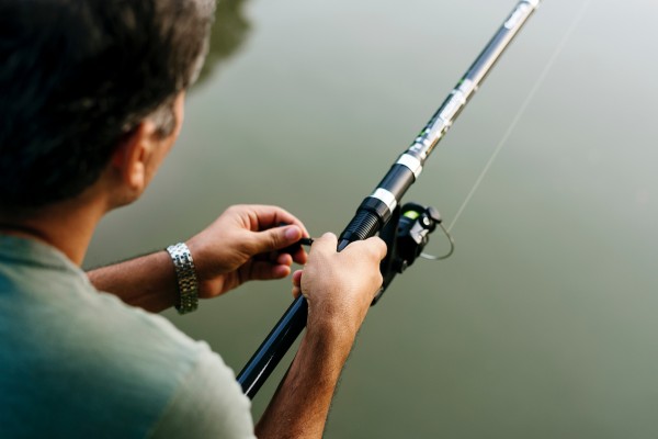 An in-depth review of the best Abu Garcia rods available in 2019.