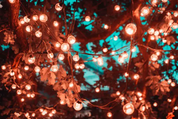 An in-depth review of the best LED fairy lights available in 2019. 