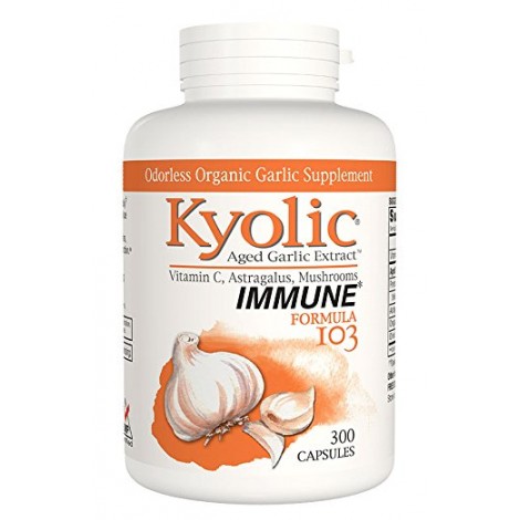 Kyolic Garlic Supplements
