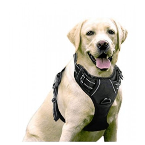 Rabbitgoo Dog No-Pull Lift Harness