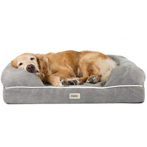 Friends Forever Orthopedic Luxury Dog Bed