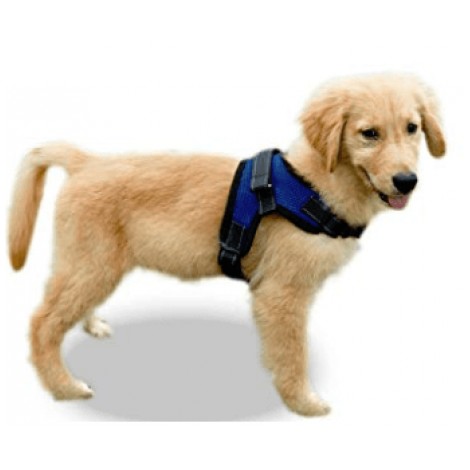 Copatchy No Pull Reflective Adjustable Harness