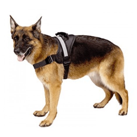 EXPAWLORER Big Dog Harness