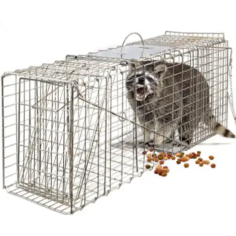 10 Best Dog Proof Traps Reviewed In 2022 TheGearHunt   Screenshot 2019 08 30 At 12.20.44 AM Custom470x470 