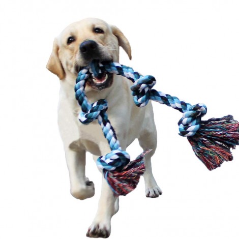 Lechong for Aggressive Chewers Dog Rope Toy