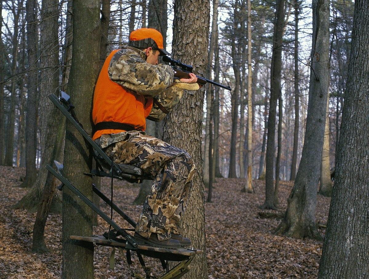 What is Hunter Orange & Other Hunting Safety Measures | TheGearHunt