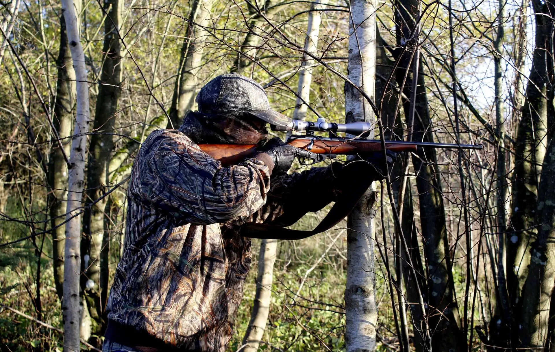 Best Hunting Rifles Reviewed and Rated
