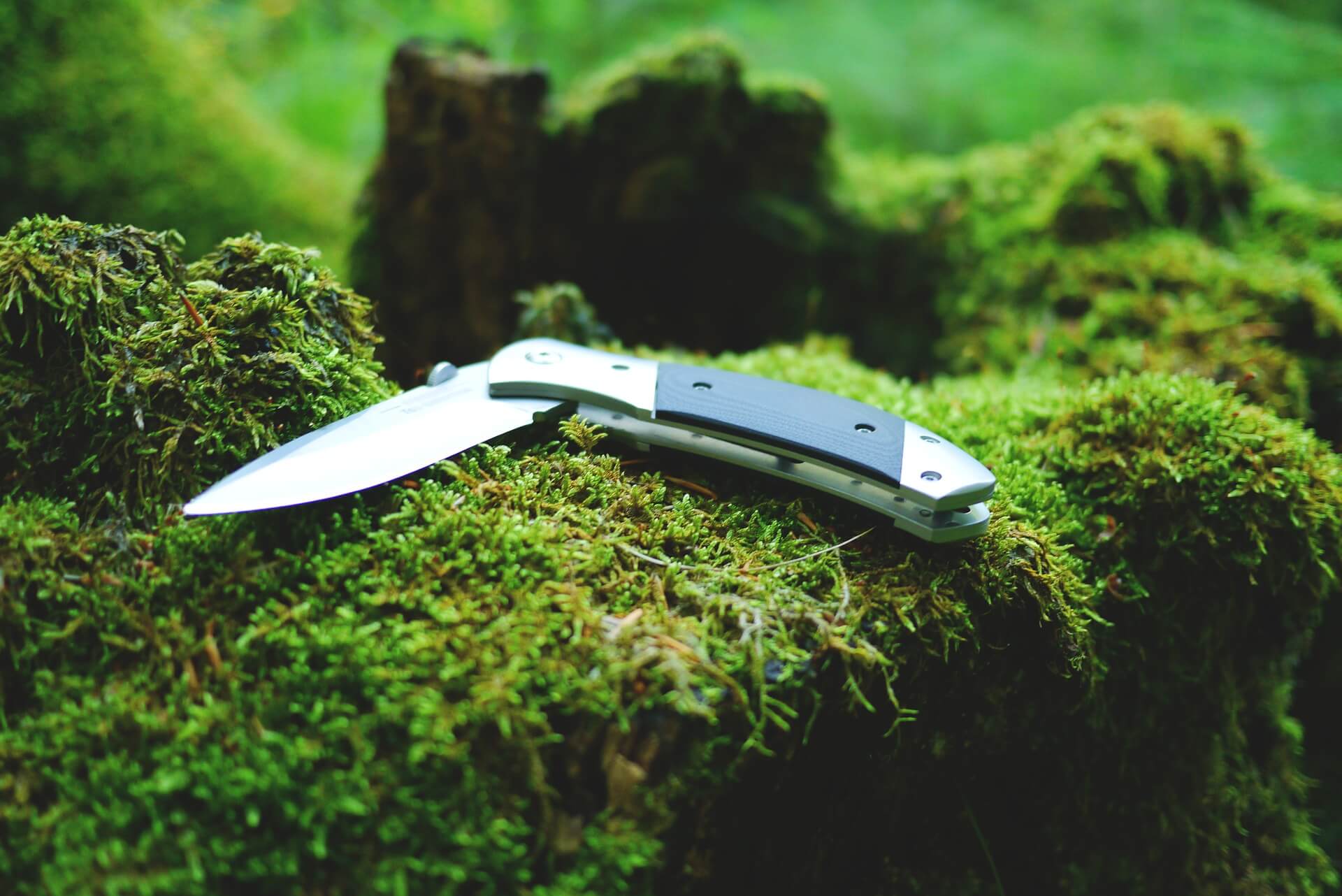 Best Folding Knives Reviewed And Tested In 2022 Thegearhunt