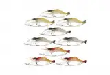 Goture Soft Lures Shrimp Bait Set