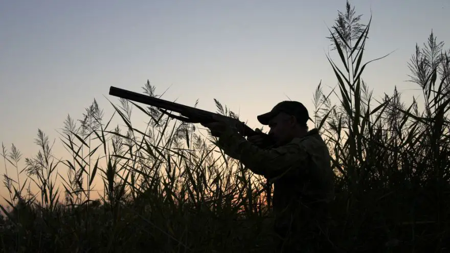 Everything you Need to Know about Getting a Hunting License