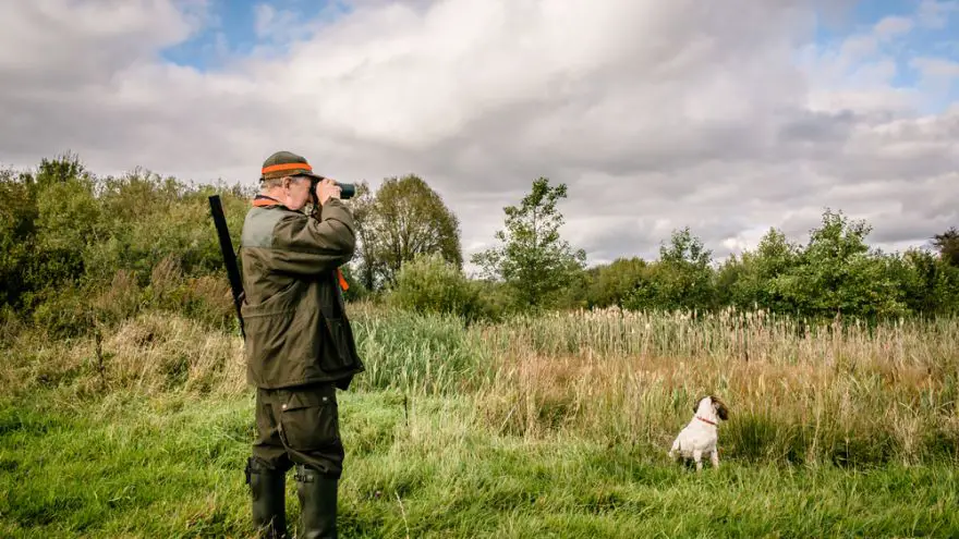 How to Choose the Right Hunting Optics