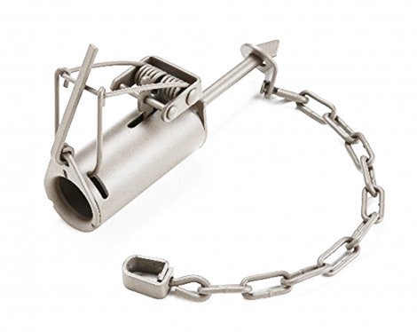 4. Duke DP Coon Trap