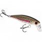 Dynamic Lures With BB chamber