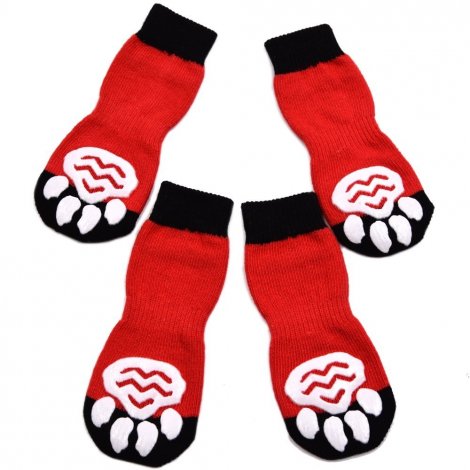 8. Expawlorer