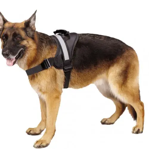 EXPAWLORER No Pull Harness