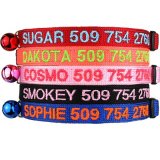 GoTags Cat Collars