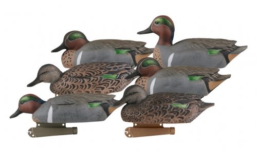 Greenhead Gear Green-Winged Teal