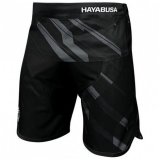 Hayabusa