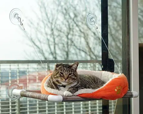 8. Original KITTY COT