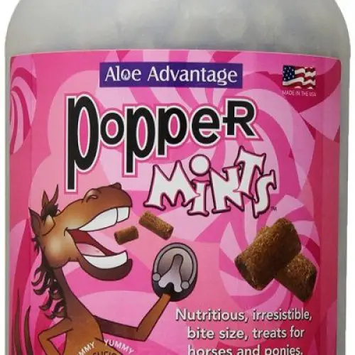 Rooster Booster Aloe Horse Treats