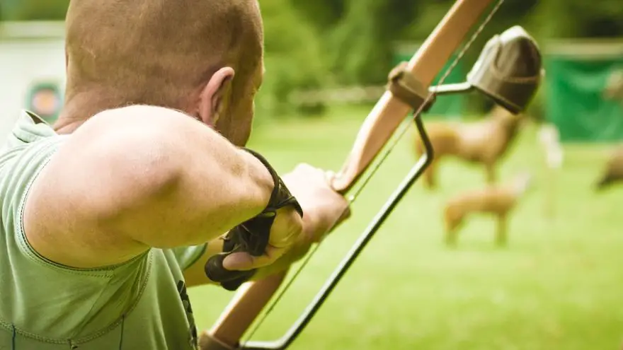 Why Every Bowhunter Should Shoot A Competitive 3D Event