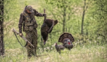 An in-depth review of turkey hunting weapons.